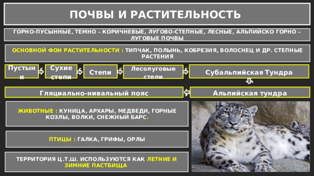 Гляциально-нивальный пояс Субальпийская Альпийская тундра тундра с с с с ПОЧВЫ И РАСТИТЕЛЬНОСТЬ ГОРНО-ПУСЫННЫЕ, ТЕМНО – КОРИЧНЕВЫЕ, ЛУГОВО-СТЕПНЫЕ, ЛЕСНЫЕ, АЛЬПИЙСКО ГОРНО – ЛУГОВЫЕ ПОЧВЫ ОСНОВНОЙ ФОН РАСТИТЕЛЬНОСТИ : ТИПЧАК, ПОЛЫНЬ, КОБРЕЗИЯ, ВОЛОСНЕЦ И ДР. СТЕПНЫЕ РАСТЕНИЯ Пустыни Сухие степи Степи Субальпийская  Тундра Лесолуговые степи с с с с Альпийская тундра Гляциально-нивальный пояс ЖИВОТНЫЕ : КУНИЦА, АРХАРЫ, МЕДВЕДИ, ГОРНЫЕ КОЗЛЫ, ВОЛКИ, СНЕЖНЫЙ БАРС . ПТИЦЫ : ГАЛКА, ГРИФЫ, ОРЛЫ ТЕРРИТОРИЯ Ц.Т.Ш. ИСПОЛЬЗУЮТСЯ КАК ЛЕТНИЕ И ЗИМНИЕ ПАСТБИЩА  