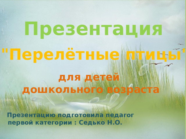 Презентация 
