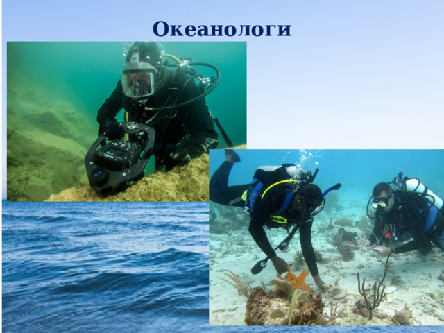 Океанологи 