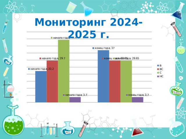 Мониторинг 2024-2025 г. 