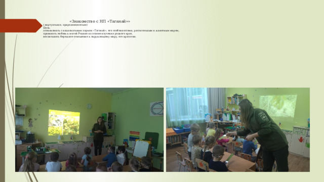  «Знакомство с НП «Таганай»»  ( виртуальная, природоведческая)  Цель:  познакомить с национальным парком «Таганай», его особенностями, растительным и животным миром,  прививать любовь к малой Родине на основе изучения родного края,  воспитывать бережное отношение к окружающему миру, его красотам.     