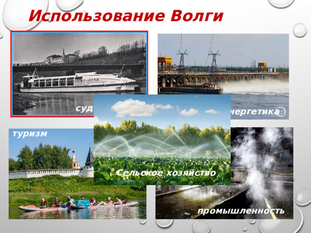 Использование Волги человеком: судоходство судоходство энергетика туризм Сельское хозяйство промышленность 