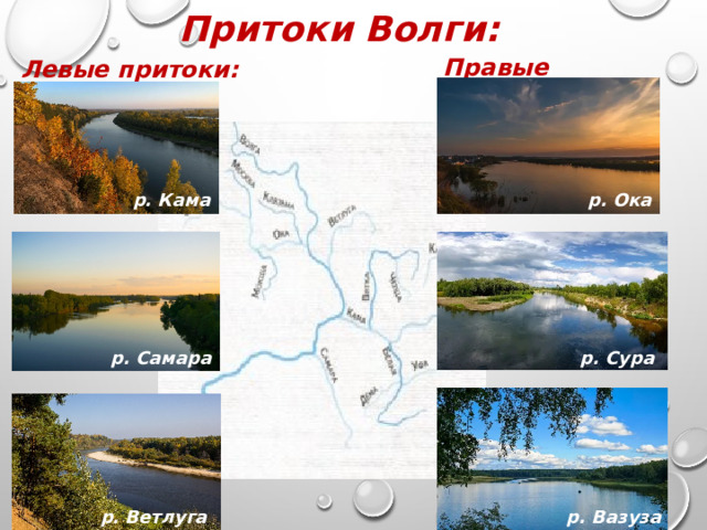 Притоки Волги: Правые притоки: Левые притоки: р. Кама р. Ока р. Сура р. Самара р. Ветлуга р. Вазуза 
