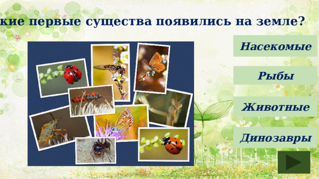 Какие первые существа появились на земле? Насекомые Рыбы Животные Динозавры 