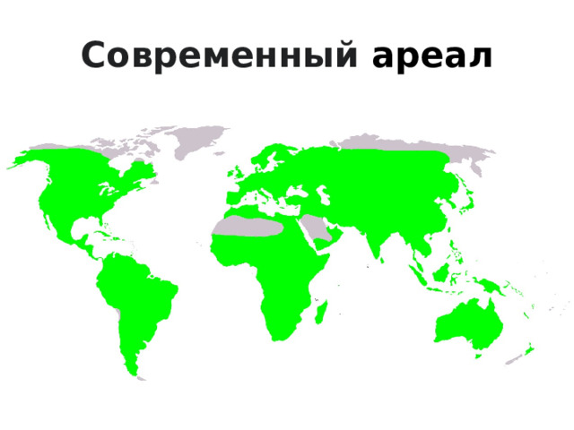 Современный  ареал 