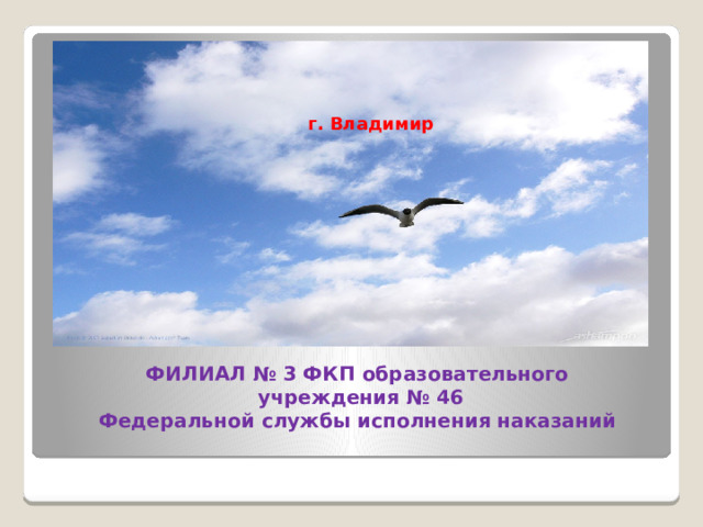  г. Владимир ФИЛИАЛ № 3 ФКП образовательного  учреждения № 46  Федеральной службы исполнения наказаний 