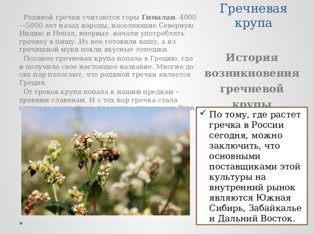 Гречневая крупа  Родиной гречки считаются горы Гималаи . 4000—5000 лет назад народы, населяющие Северную Индию и Непал, впервые начали употреблять гречиху в пищу. Из нее готовили кашу, а из гречишной муки пекли вкусные лепешки.  Позднее гречневая крупа попала в Грецию, где и получила свое настоящее название. Многие до сих пор полагают, что родиной гречки является Греция.  От греков крупа попала к нашим предкам – древним славянам. И с тех пор гречка стала одним из важнейших продуктов питания на Руси. История возникновения гречневой крупы По тому, где растет гречка в России сегодня, можно заключить, что основными поставщиками этой культуры на внутренний рынок являются Южная Сибирь, Забайкалье и Дальний Восток. 