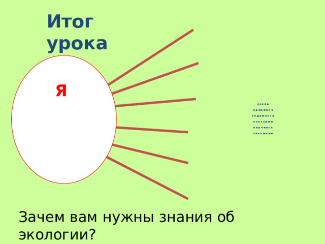 Итог урока Я у з н а л   у д и в и л с я   з а д у м а л с я   п о в т о р и л   н а у ч и л с я   з а п о м н и л   Зачем вам нужны знания об экологии? 