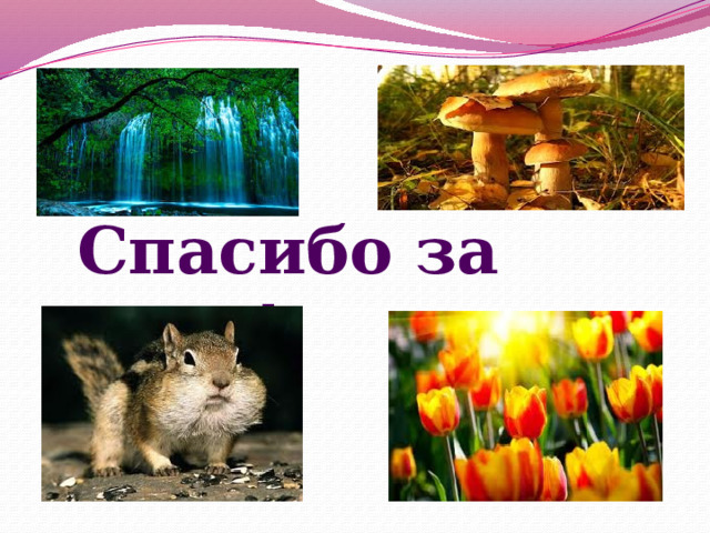 Спасибо за урок! 