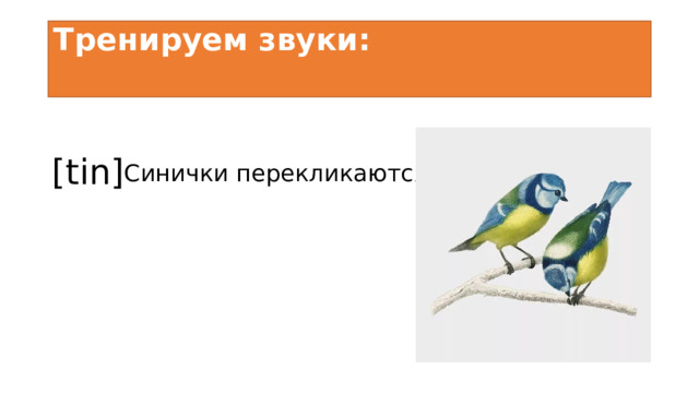 Тренируем звуки:   [tin] Синички перекликаются 