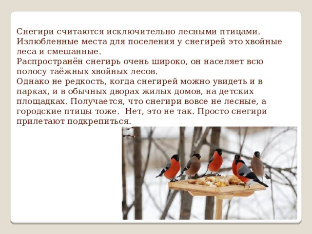 Снегири считаются исключительно лесными птицами. Излюбленные места для поселения у снегирей это хвойные леса и смешанные.  Распространён снегирь очень широко, он населяет всю полосу таёжных хвойных лесов.  Однако не редкость, когда снегирей можно увидеть и в парках, и в обычных дворах жилых домов, на детских площадках. Получается, что снегири вовсе не лесные, а городские птицы тоже. Нет, это не так. Просто снегири прилетают подкрепиться.    