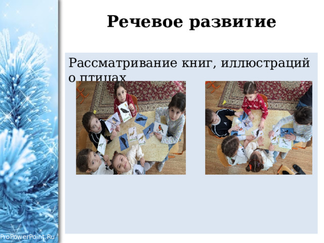 Речевое развитие Рассматривание книг, иллюстраций о птицах 