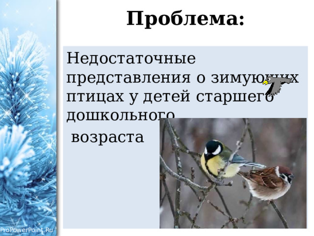 Проблема: Недостаточные представления о зимующих птицах у детей старшего дошкольного  возраста 