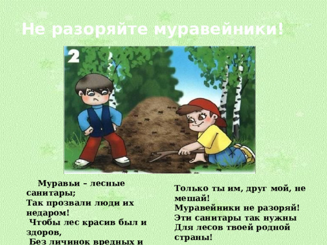Не разоряйте муравейники!  Муравьи – лесные санитары; Так прозвали люди их недаром!  Чтобы лес красив был и здоров,  Без личинок вредных и жуков,  Муравьи на страже день и ночь:  Гонят разных короедов прочь! Только ты им, друг мой, не мешай! Муравейники не разоряй! Эти санитары так нужны Для лесов твоей родной страны! 