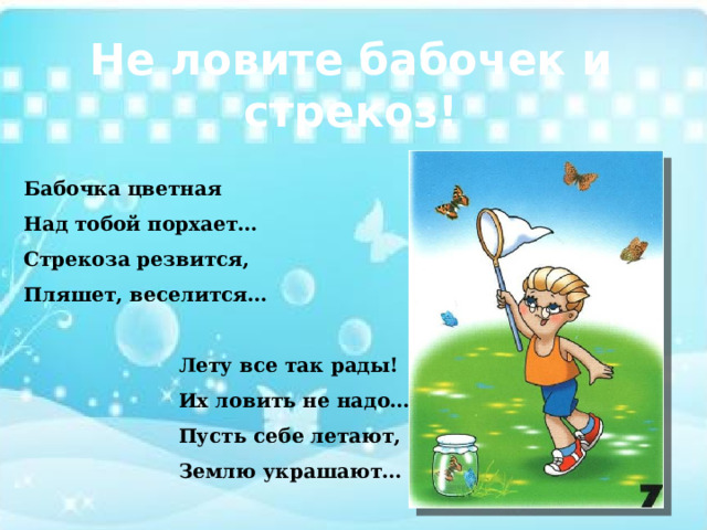 Не ловите бабочек и стрекоз! Бабочка цветная Над тобой порхает… Стрекоза резвится, Пляшет, веселится… Лету все так рады! Их ловить не надо… Пусть себе летают, Землю украшают… 