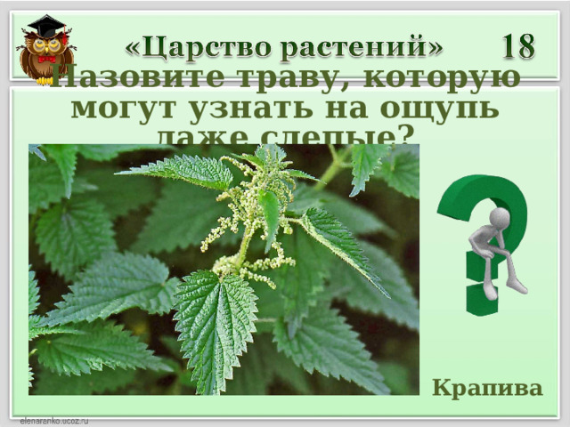 Назовите траву, которую могут узнать на ощупь даже слепые?  Крапива 
