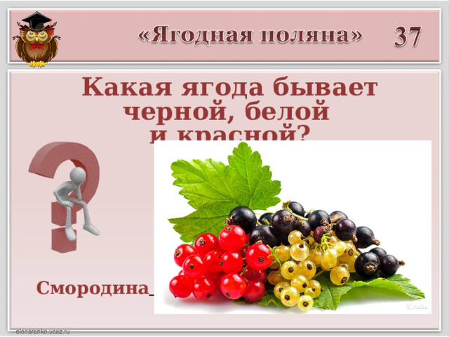 Какая ягода бывает черной, белой  и красной? Смородина  