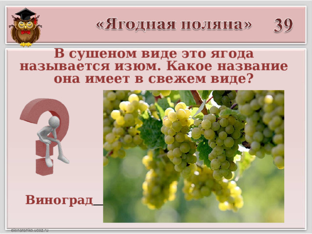 В сушеном виде это ягода называется изюм. Какое название она имеет в свежем виде? Виноград  