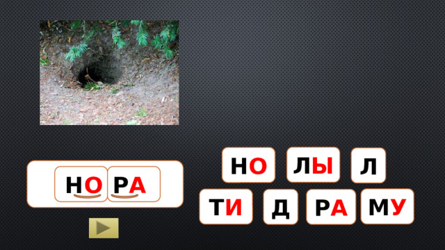 Л Ы Н О Л НОРА Р А Н О М У Т И Д Р А  