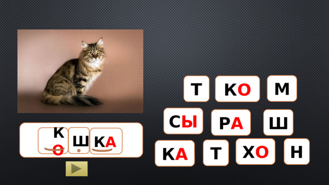 М Т К О С Ы Р А Ш КОШКА Ш К О К А Н Х О Т К А  