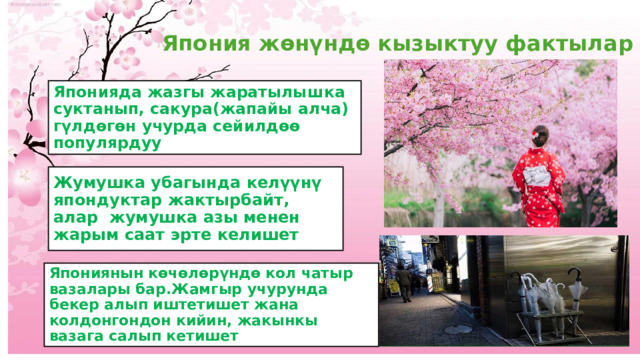Япония жөнүндө кызыктуу фактылар Японияда жазгы жаратылышка суктанып, сакура(жапайы алча) гүлдөгөн учурда сейилдөө популярдуу Жумушка убагында келүүнү япондуктар жактырбайт, алар жумушка азы менен жарым саат эрте келишет Япониянын көчөлөрүндө кол чатыр вазалары бар.Жамгыр учурунда бекер алып иштетишет жана колдонгондон кийин, жакынкы вазага салып кетишет 