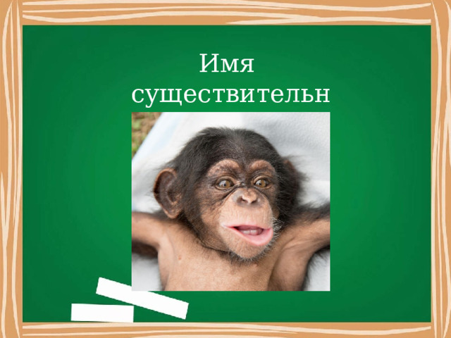        Имя существительное                                           