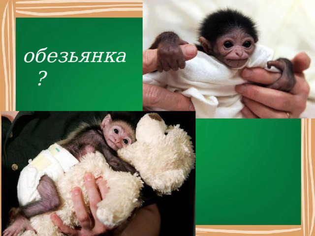 обезьянка ? 