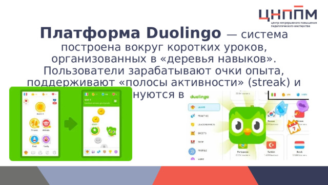 Платформа Duolingo   — система построена вокруг коротких уроков, организованных в «деревья навыков». Пользователи зарабатывают очки опыта, поддерживают «полосы активности» (streak) и соревнуются в лигах.    