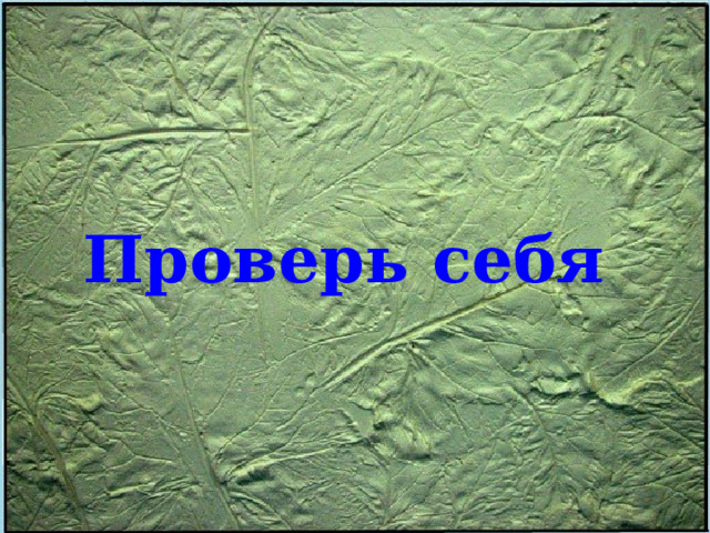 Проверь себя 