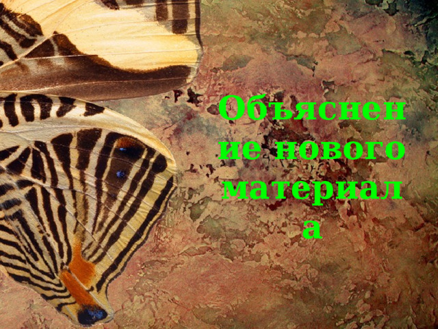Объяснение нового материала 