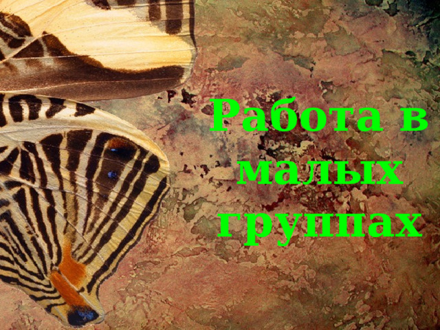 Работа в малых группах 