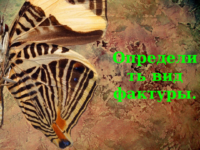 Определить вид фактуры. 