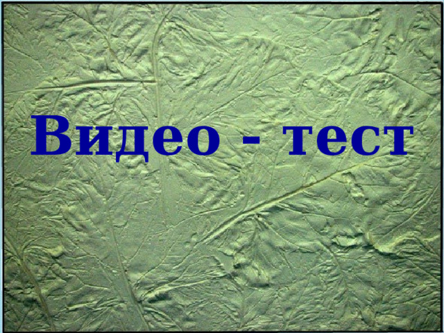 Видео - тест   