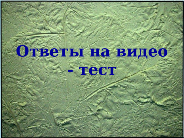 Ответы на видео - тест   