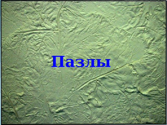 Пазлы 