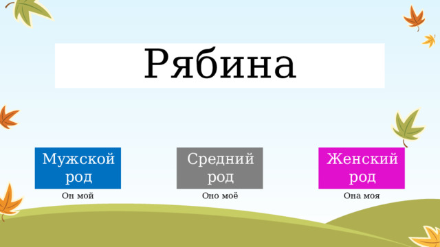 Рябина Мужской род Средний род Женский род Он мой Оно моё Она моя  