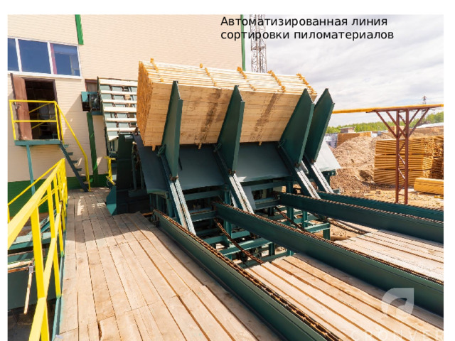 Автоматизированная линия сортировки пиломатериалов 
