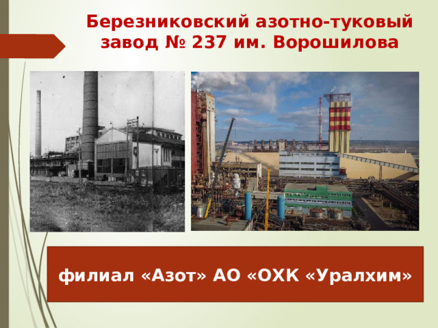 Березниковский азотно-туковый завод № 237 им. Ворошилова филиал «Азот» АО «ОХК «Уралхим» 
