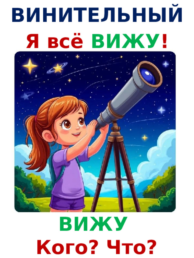 ВИНИТЕЛЬНЫЙ Я всё ВИЖУ ! ВИЖУ  Кого? Что? 