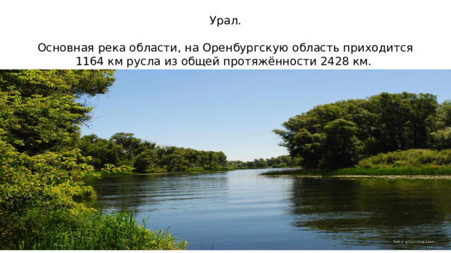 Урал. Основная река области, на Оренбургскую область приходится 1164 км русла из общей протяжённости 2428 км. 