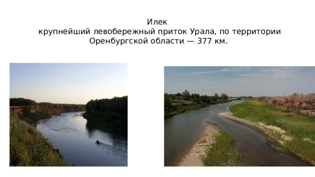 Илек  крупнейший левобережный приток Урала, по территории Оренбургской области — 377 км. 