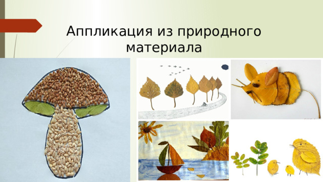 Аппликация из природного материала 