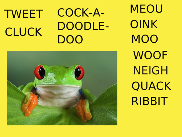 MEOU COCK-A-DOODLE-DOO TWEET OINK CLUCK MOO WOOF NEIGH QUACK RIBBIT 