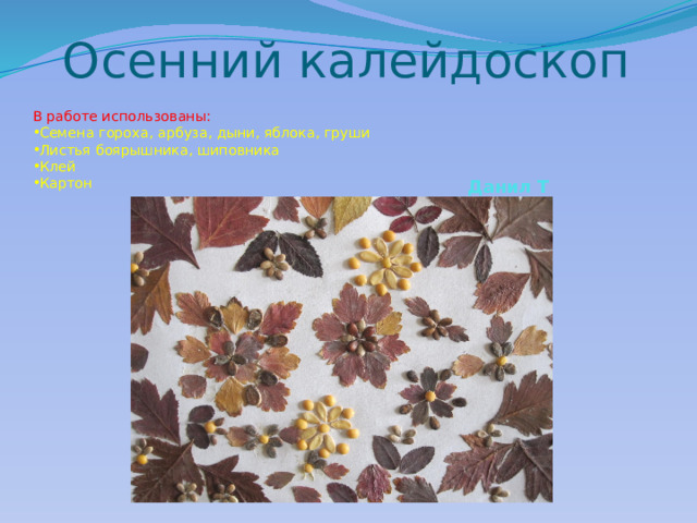 Осенний калейдоскоп В работе использованы: Семена гороха, арбуза, дыни, яблока, груши Листья боярышника, шиповника Клей Картон Данил Т 