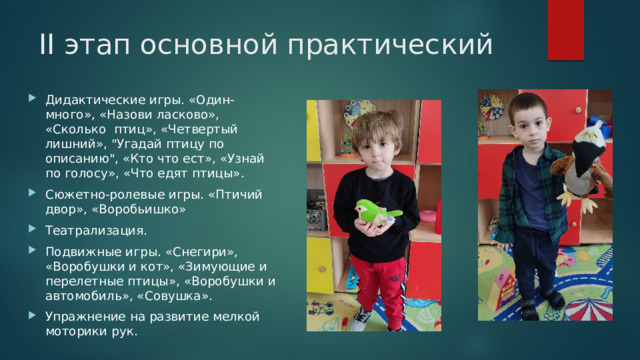 II этап основной практический Дидактические игры. «Один-много», «Назови ласково», «Сколько птиц», «Четвертый лишний», 