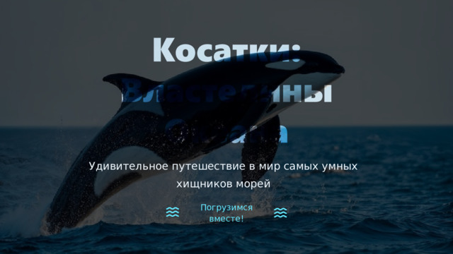  Удивительное путешествие в мир самых умных хищников морей Погрузимся вместе! 