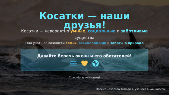  Косатки — наши друзья! Косатки — невероятно умные , социальные и заботливые существа Они учат нас важности семьи , взаимопомощи и заботы о природе Давайте беречь океан и его обитателей! Спасибо за внимание! Проект Бочарова Тимофея, ученика 6 «А» класса 