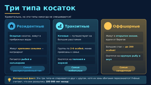  Три типа косаток Удивительно, но эти типы никогда не смешиваются! Оффшорные Транзитные Резидентные Кочевые — путешествуют на большие расстояния Оседлые косатки, живут в прибрежных водах Живут в открытом океане , вдали от берегов Большие стаи — до 200 особей! Группы по 2-6 особей , менее привязаны к семье Живут крепкими семьями — матриархат Охотятся на крупную рыбу и акул Охотятся на тюленей и моржей Питаются рыбой и кальмарами Самые мобильные Самый распространённый тип Самые загадочные Интересный факт: Эти три типа не спариваются друг с другом, хотя их зоны обитания пересекаются! Учёные считают, что они разошлись 100 000 лет назад ! 
