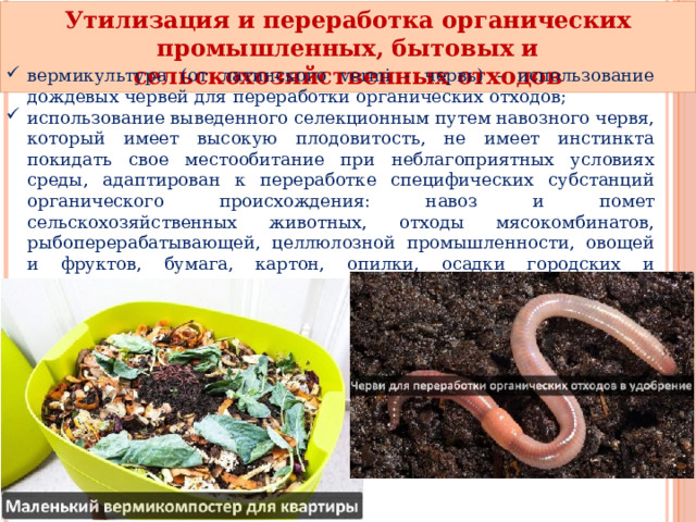 Утилизация и переработка органических промышленных, бытовых и сельскохозяйственных отходов вермикультура (от латинского vermi - червь) - использование дождевых червей для переработки органических отходов; использование выведенного селекционным путем навозного червя, который имеет высокую плодовитость, не имеет инстинкта покидать свое местообитание при неблагоприятных условиях среды, адаптирован к переработке специфических субстанций органического происхождения: навоз и помет сельскохозяйственных животных, отходы мясокомбинатов, рыбоперерабатывающей, целлюлозной промышленности, овощей и фруктов, бумага, картон, опилки, осадки городских и производственных очистных станций. 