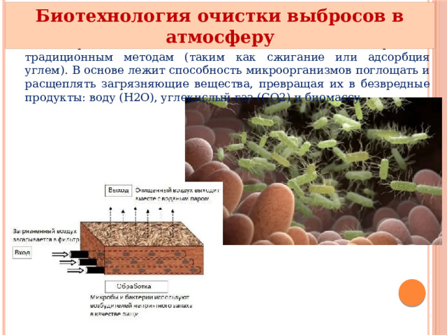 Биотехнология очистки выбросов в атмосферу это современная и экологически безопасная альтернатива традиционным методам (таким как сжигание или адсорбция углем). В основе лежит способность микроорганизмов поглощать и расщеплять загрязняющие вещества, превращая их в безвредные продукты: воду (Н2О), углекислый газ (CO2) и биомассу. 
